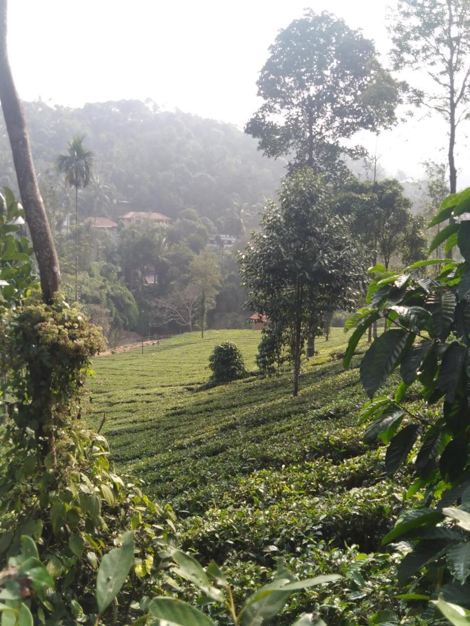 Letstay Vythiri Hill Palace Екстериор снимка